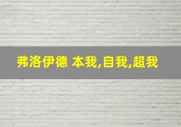 弗洛伊德 本我,自我,超我